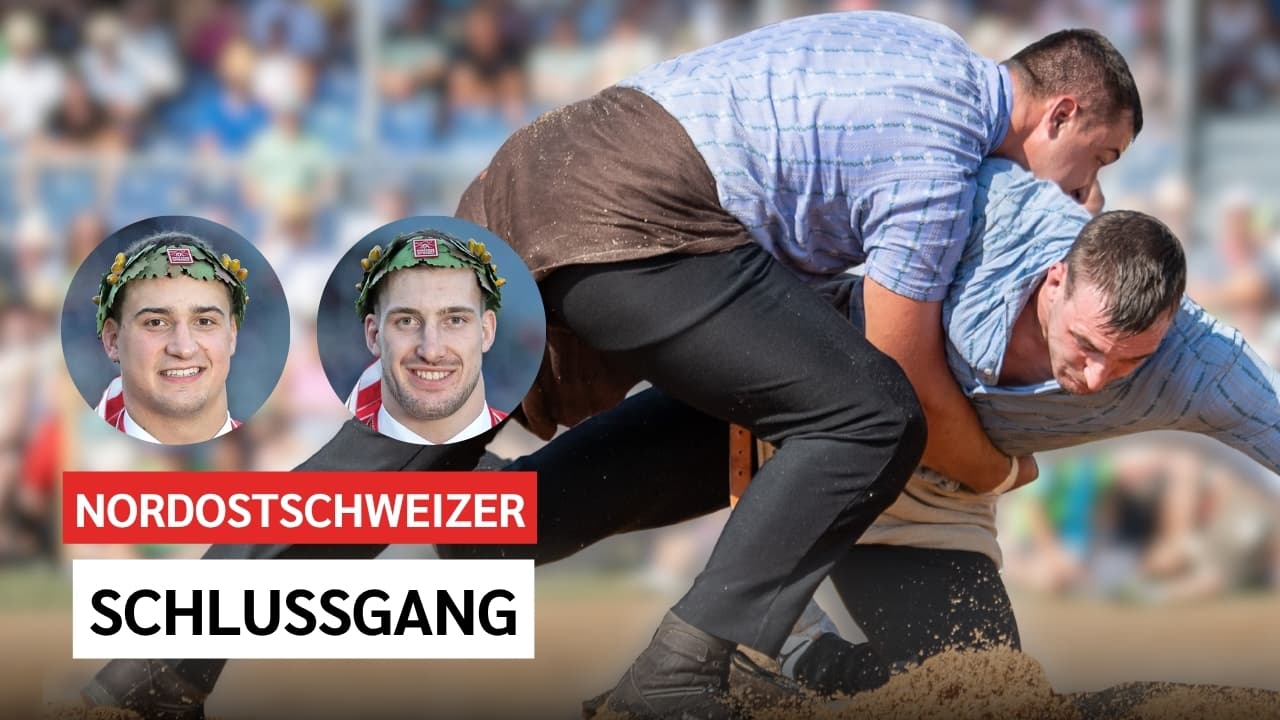 NOS SCHLUSSGANG SCHLEGEL OTT.jpg